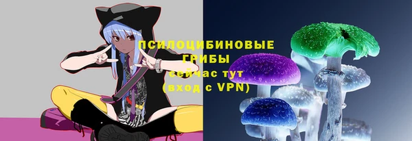 сатива Новокубанск