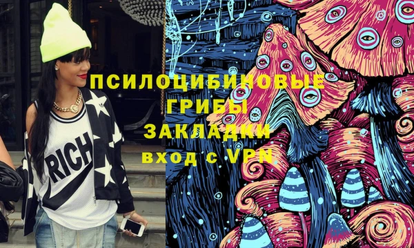 МДПВ Алзамай