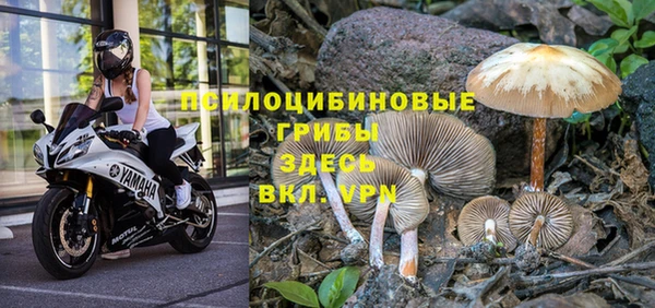 МДПВ Алзамай