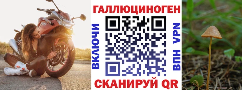 Галлюциногенные грибы Magic Shrooms  Солнечногорск 