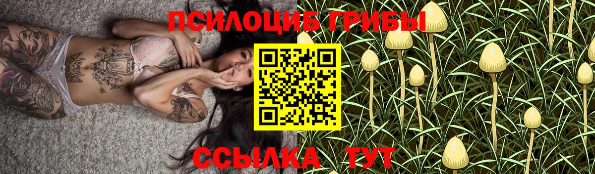 Псилоцибиновые грибы мицелий Солнечногорск