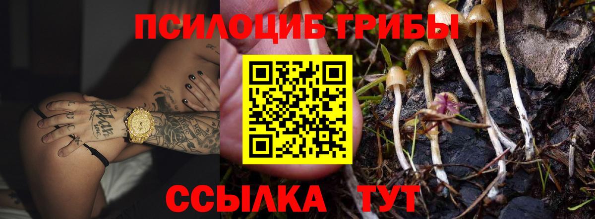 Псилоцибиновые грибы Cubensis  Псилоцибиновые грибы GOLDEN TEACHER  Вход с VPN  Солнечногорск 